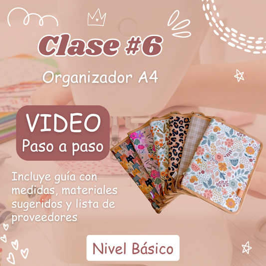 Clase 6: Organizador A4